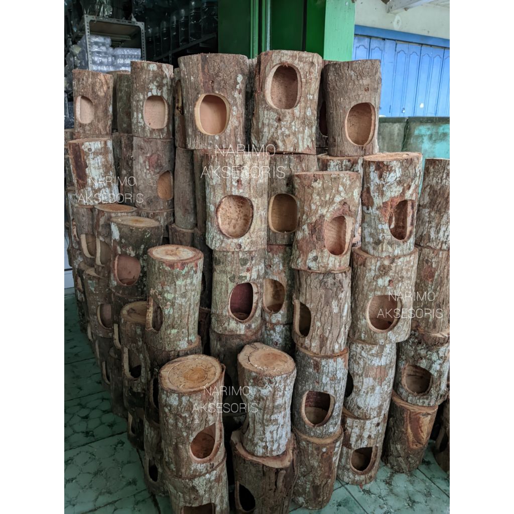 Glodok Pohon Untuk Burung Murai Kacer Lovebird Dan Burung Lainnya