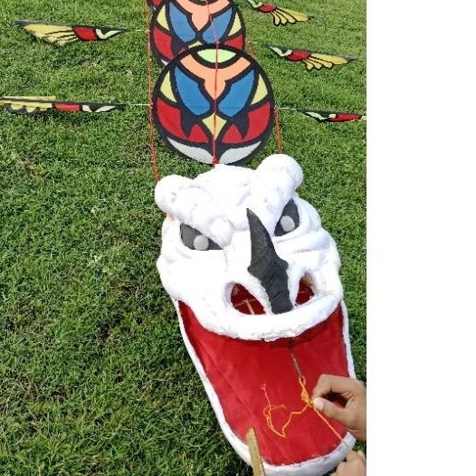 kepala layangan naga dm 35 setangah jadi