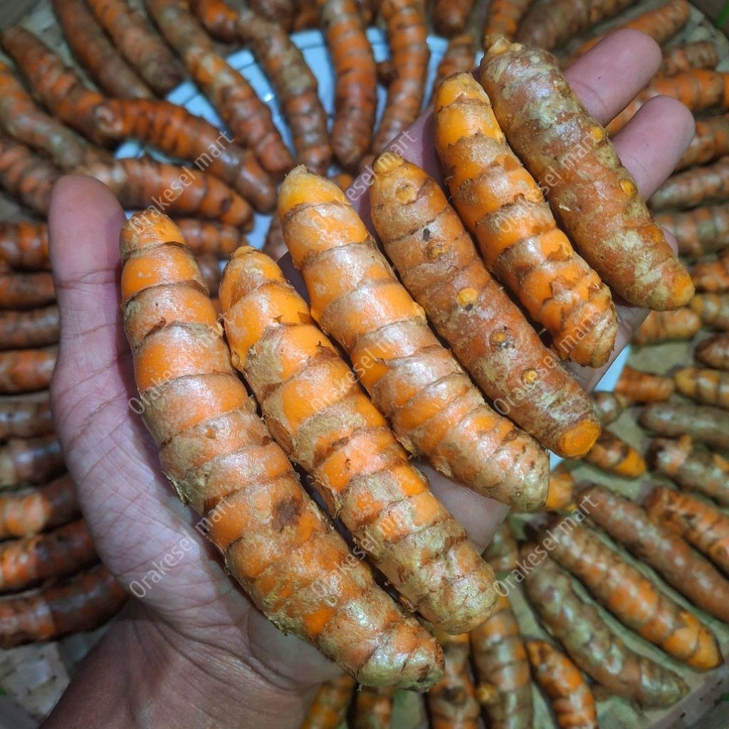 

Kunyit Superan 1kg tanpa cabang