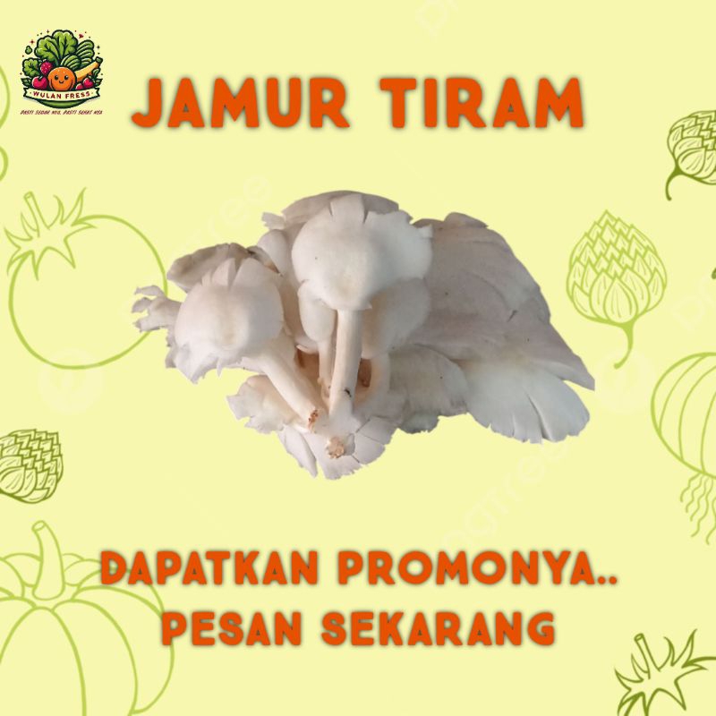 

JAMUR TIRAM
