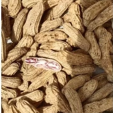 

KACANG TANAH MADU SUPER PULEN FRESH 1kg