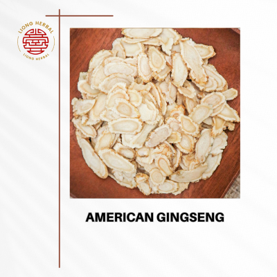 

TERMURAH Premium Amerika Ginseng Root / Yong Sem / Ginseng American Original Fresh Import