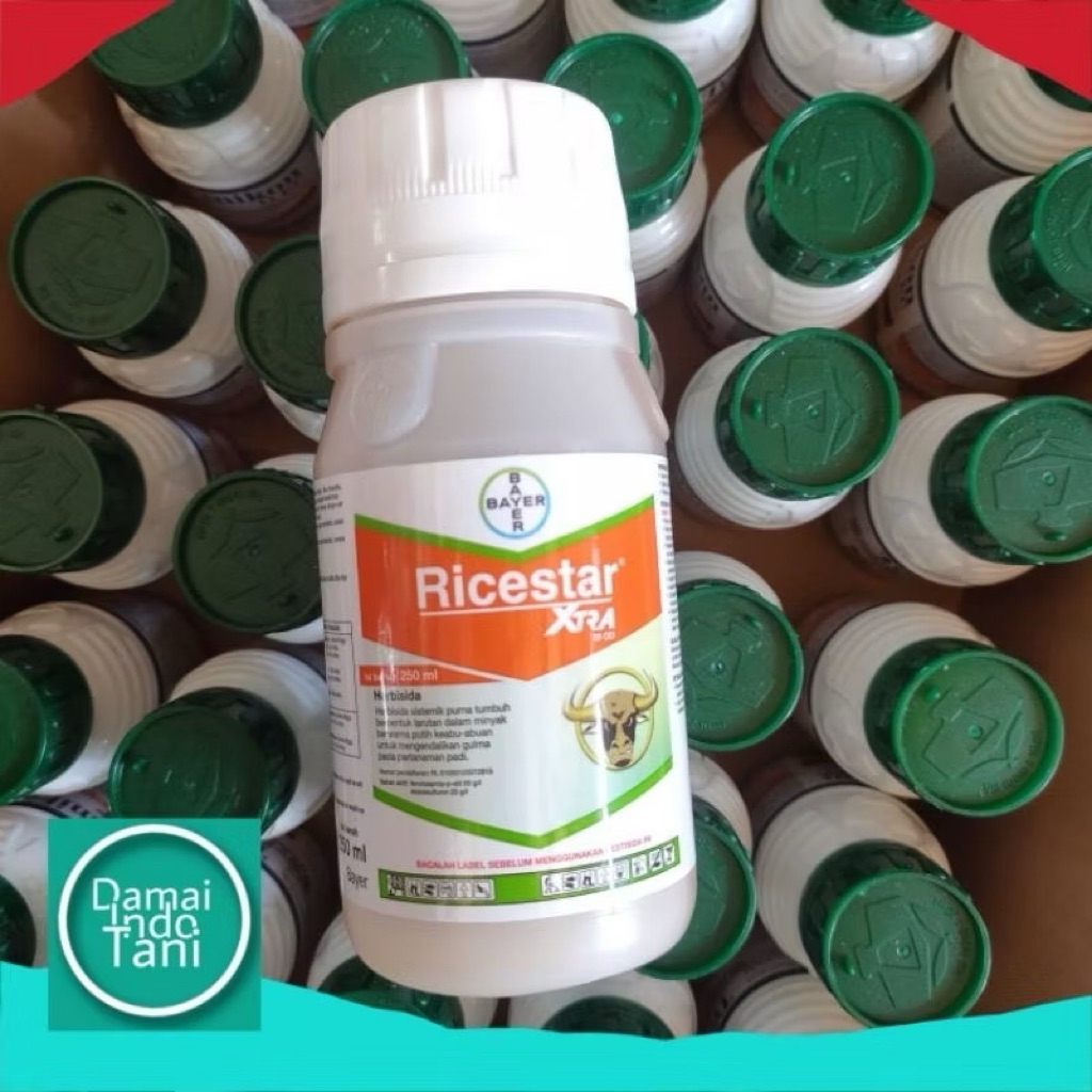Ricestar 250ml (Herbisida)