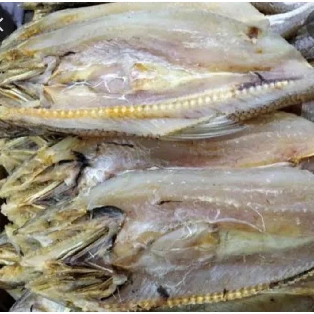 

500gr ikan asin gabus laut berkualitas