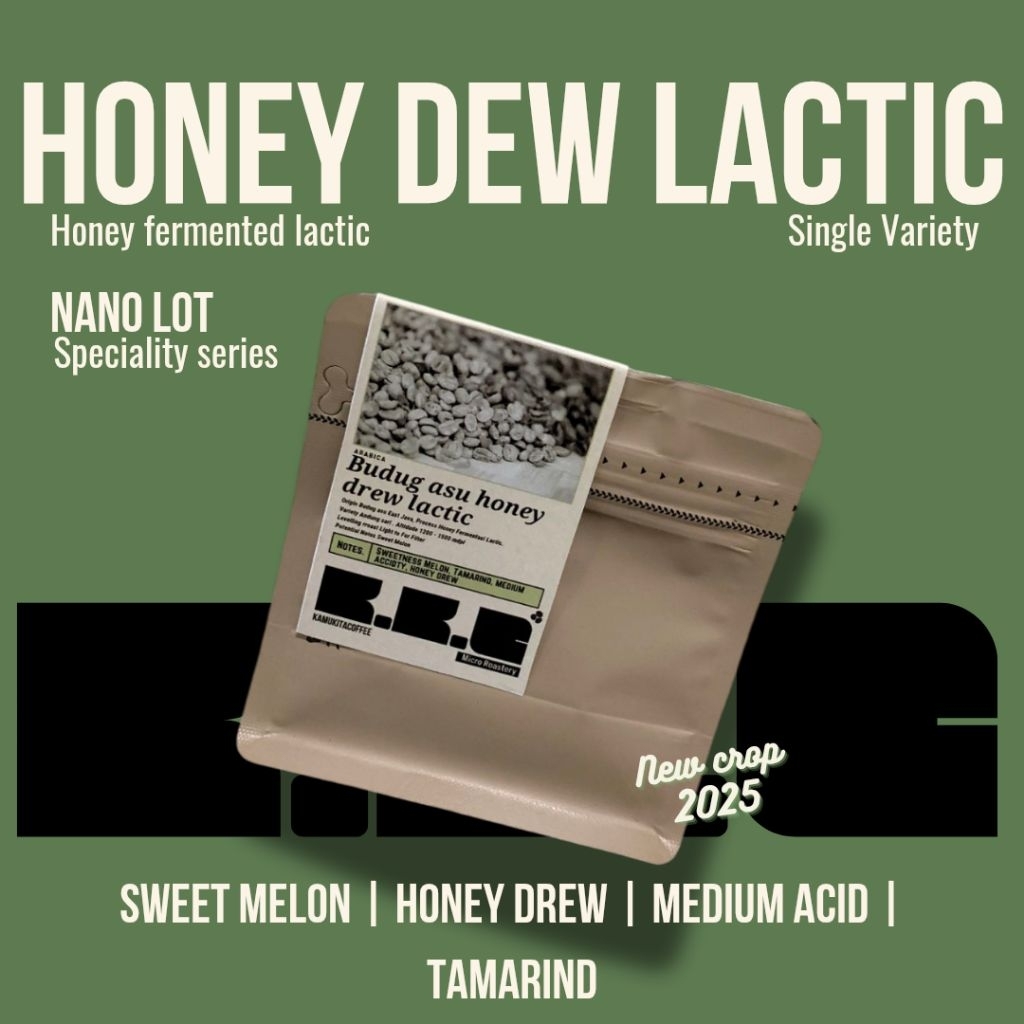 

kopi arabica Honey Dew Lactic origin budug asu jawa timur, spesialty nano lot, Single variety Andungsari, Process honey fermented lactic