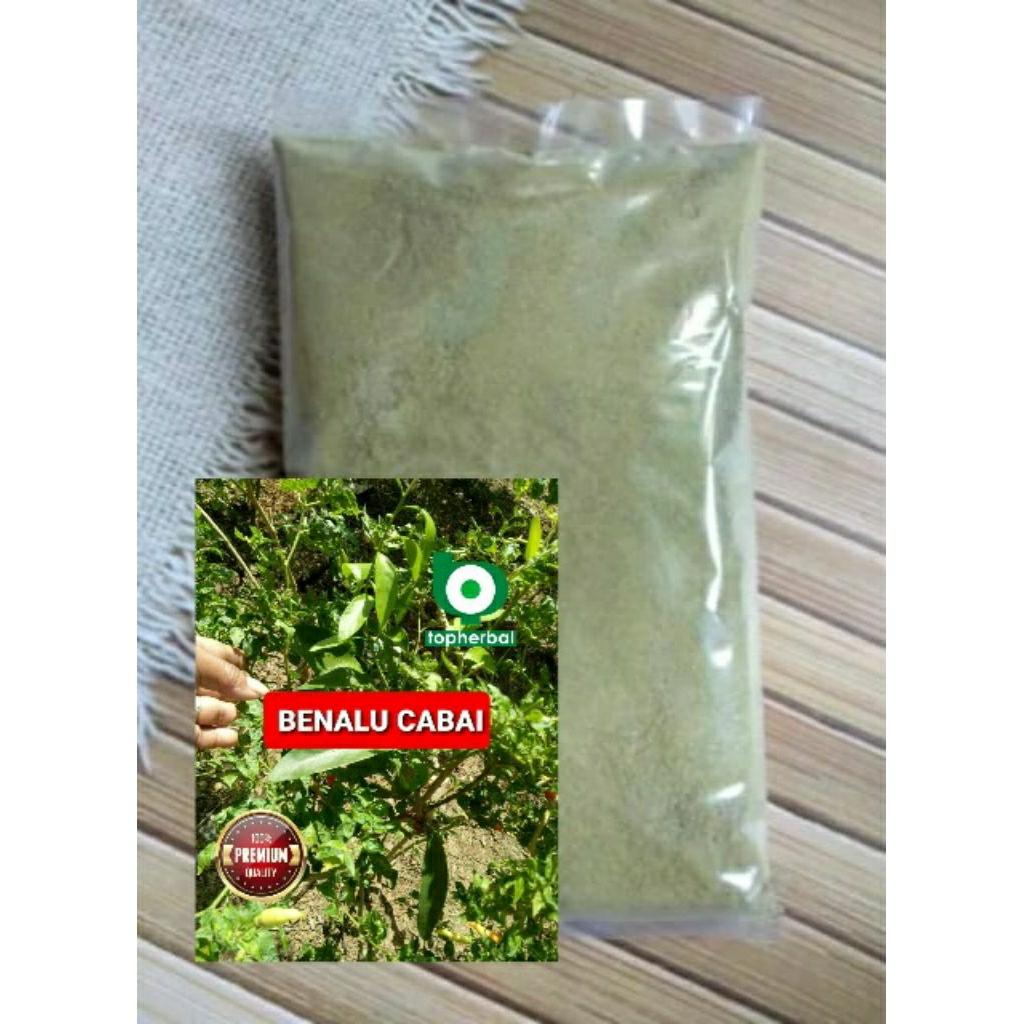 

Bubuk Benalu Cabai 1 Kg/1000 Gram Kering Hijau Organik Super Premium