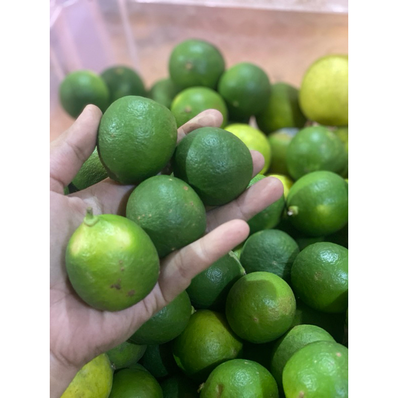 

Jeruk nipis 250gr