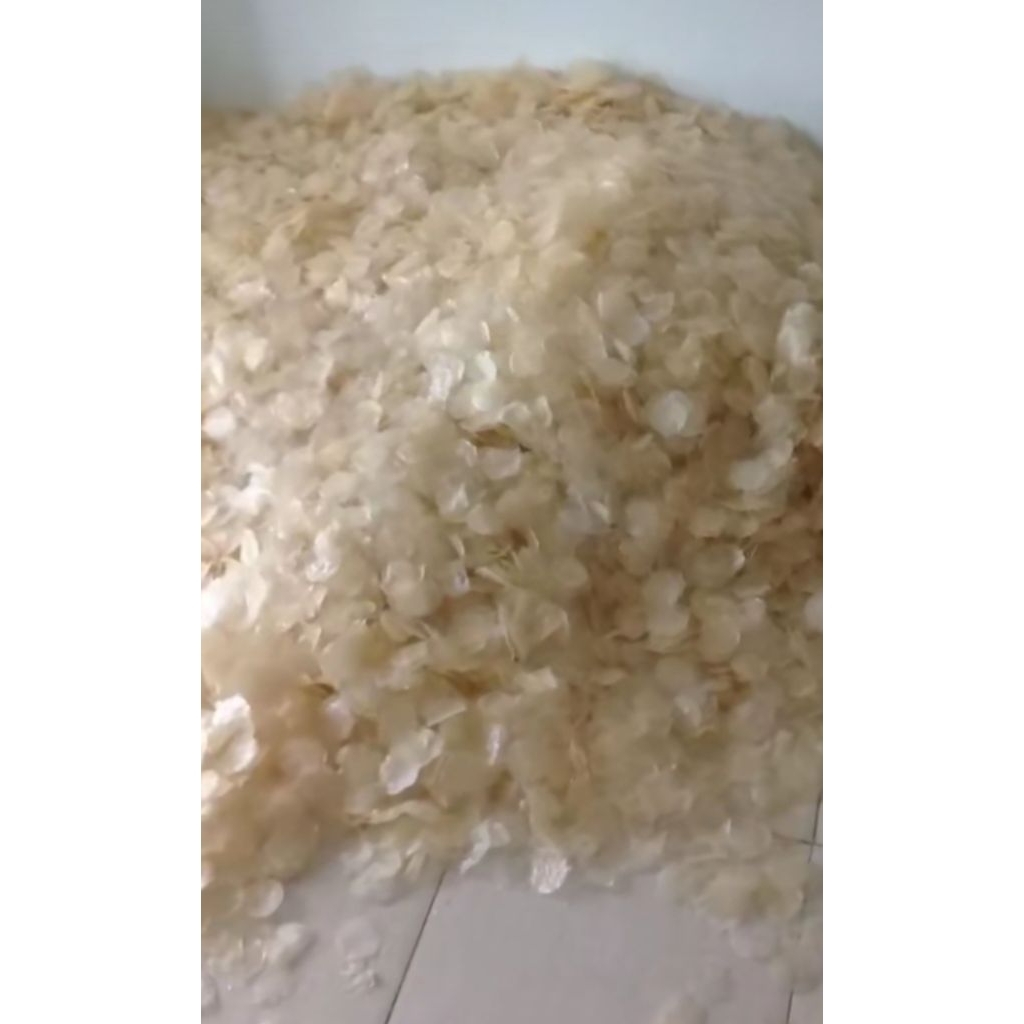 

keripik kaca mentah keripik kaca original pikca keripik viral keripik candu