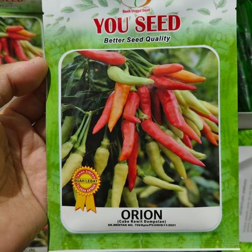 Benih cabe ORION 10 gram cabe rawet putih merunduk berdompol hibrida dari you seed cabe bergerombol