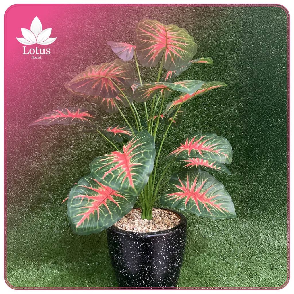 Pohon Artificial - Talas Merah