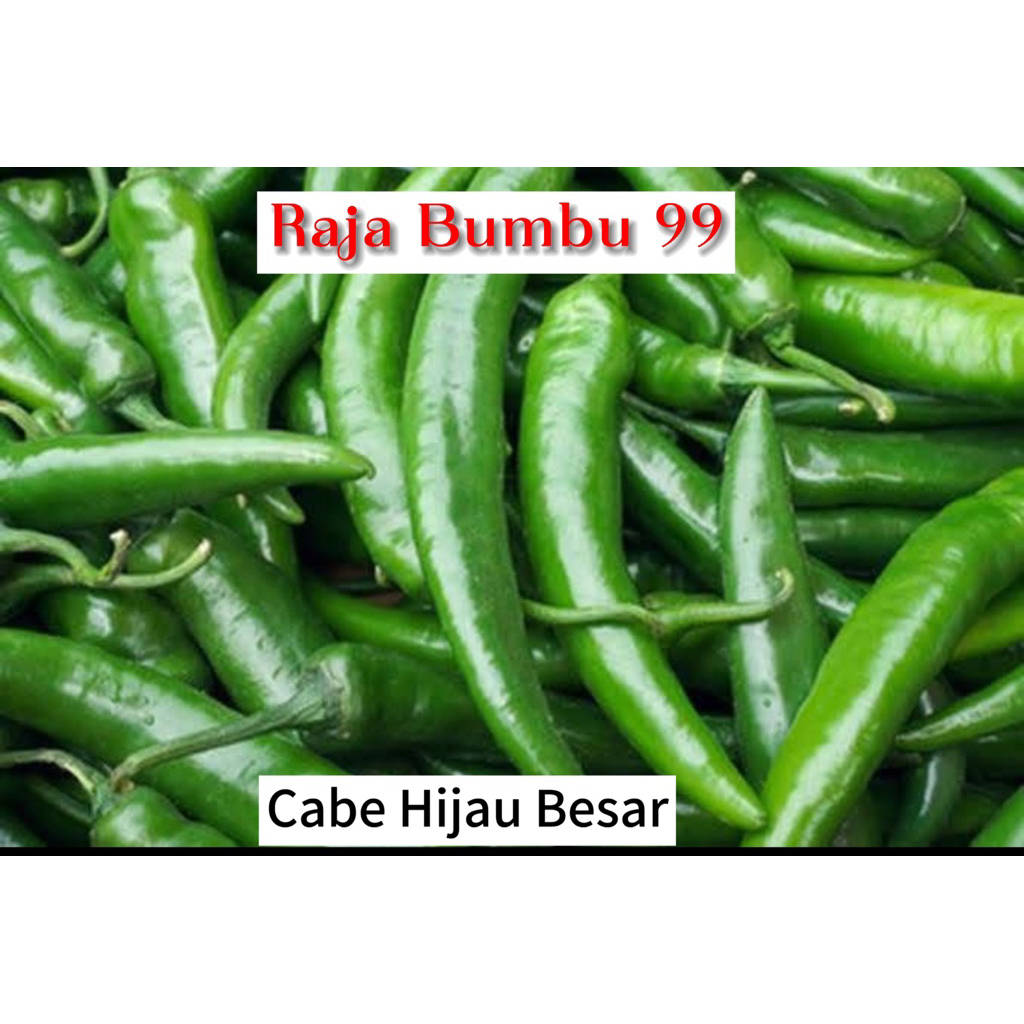 

CABE HIJAU BESAR