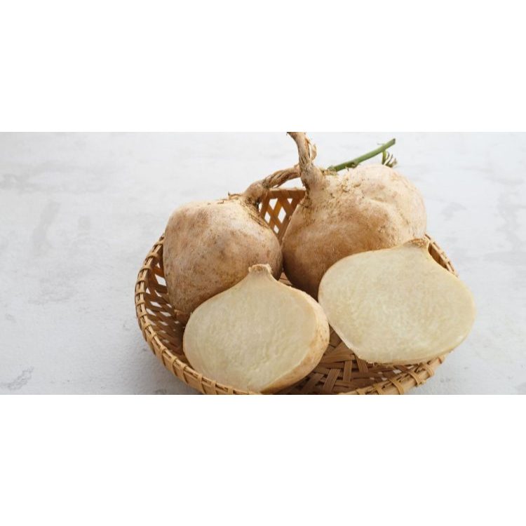 

Bengkoang Asli 500 gr 1 kg Baru Panen Dari Kebun