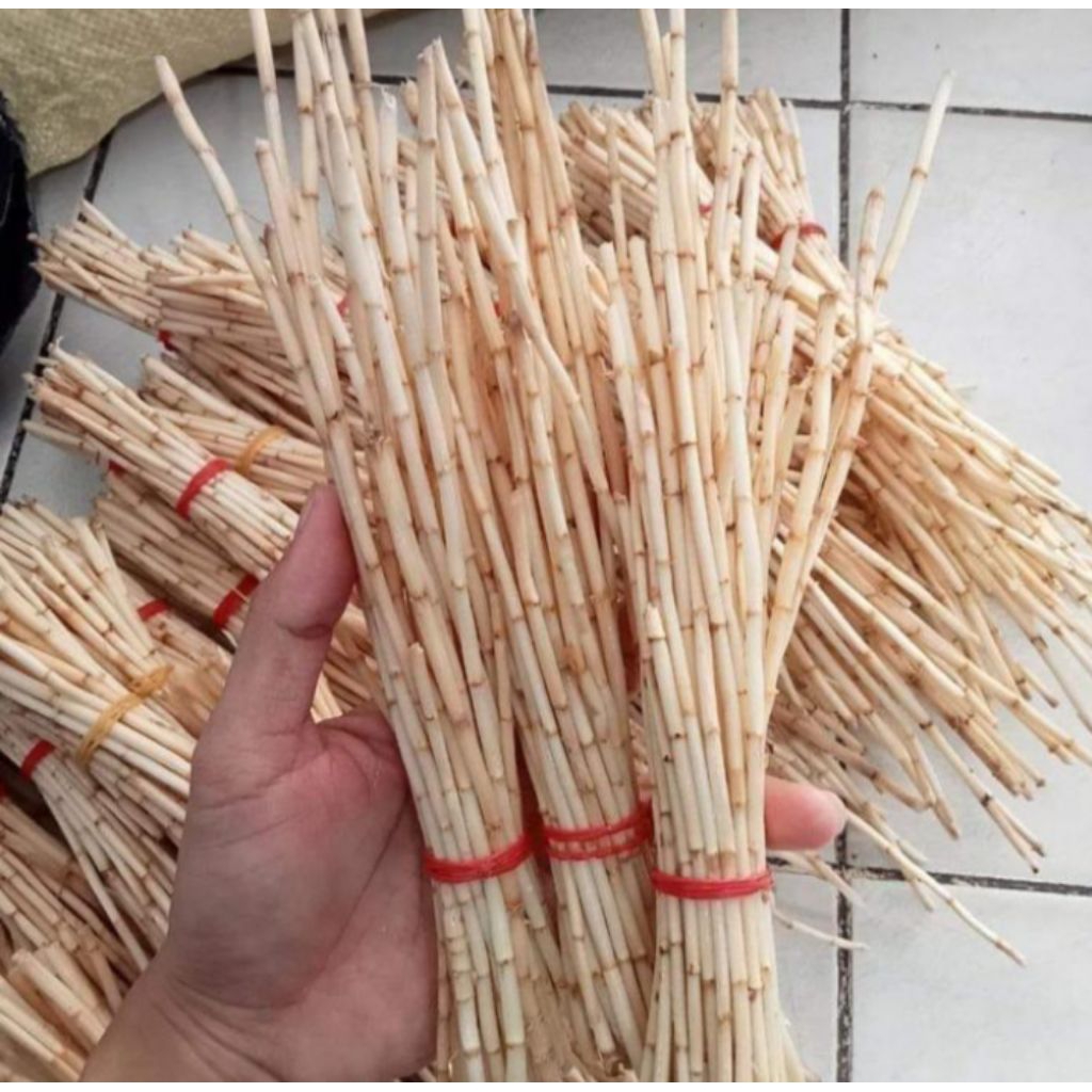 

PROMO AKAR ALANG ALANG SEGAR 250g UNTUK KESEHATAN