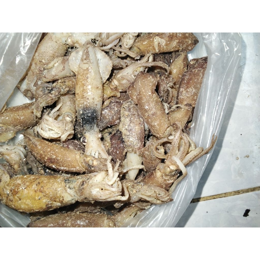 

cumi tawar ukuran besar