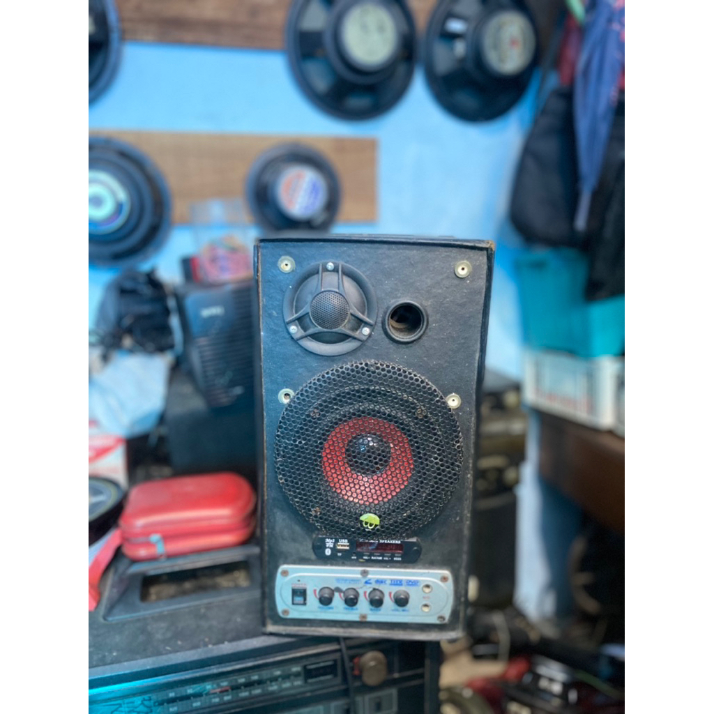 Salon Aktif 6 Inch Bluetooth