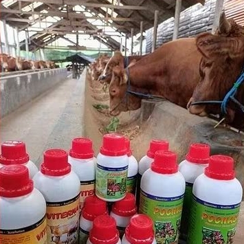 PAKET VITAMIN PENGGEMUK HEWAN TERNAK - VITERNA - POC NASA 250 - POC NASA 500 - HORMONIK 100 - PAKET 