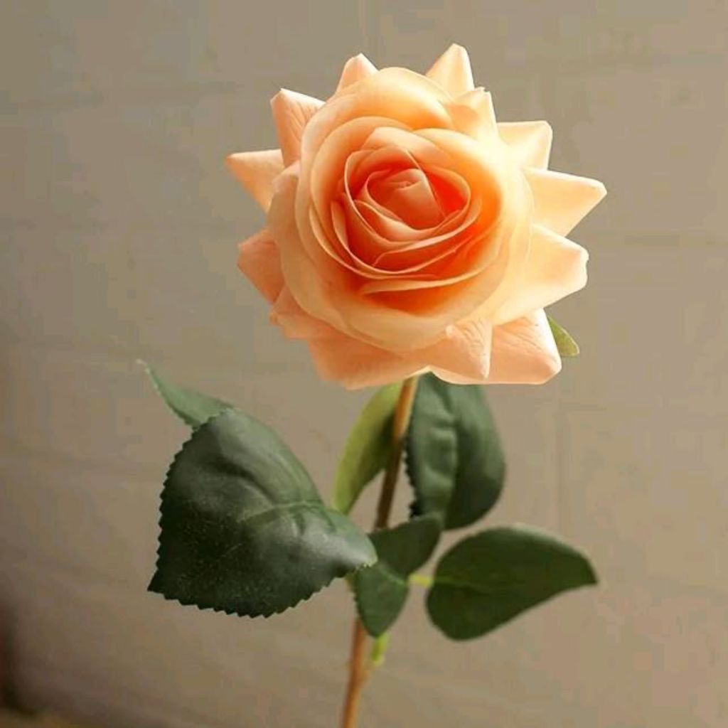 Bunga Mawar Artificial Premium Latex Import Blooming - Peach