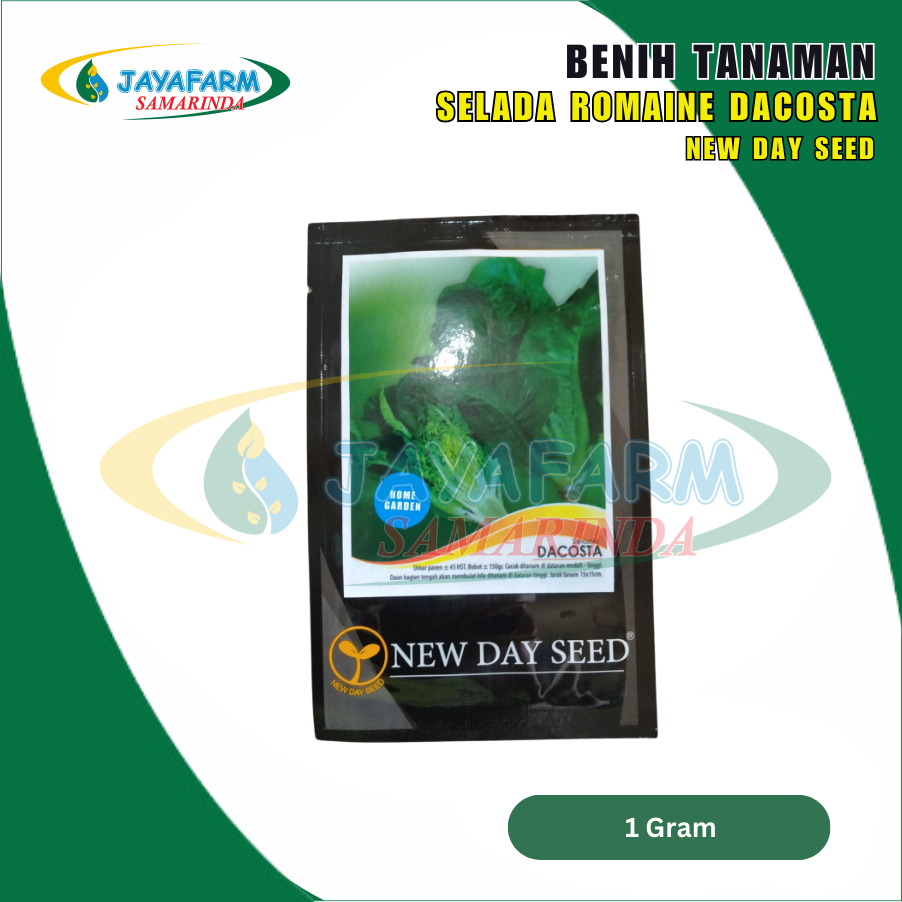 Benih Bibit Selada Romaine Dacosta 1 Gram - New Day Seed