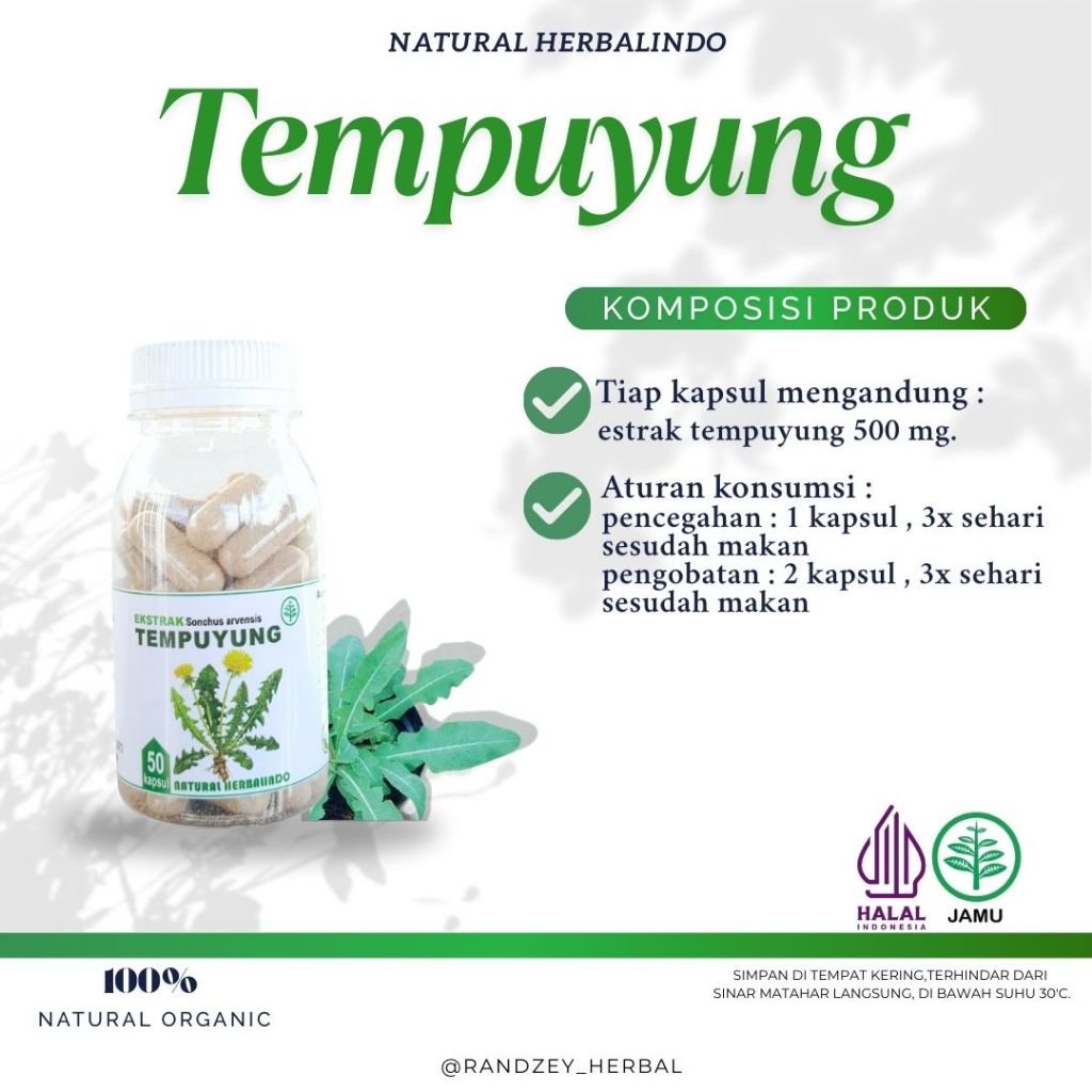 Obat herbal protat batu ginjal empedu Tempuyung kapsul