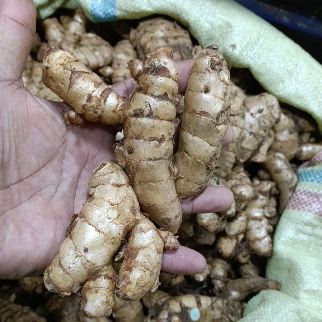 

temu itam ,kunyit itam obat herbal 250gr