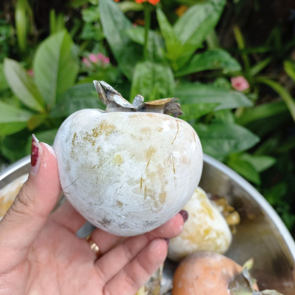 

Buah Kasemek 1kg