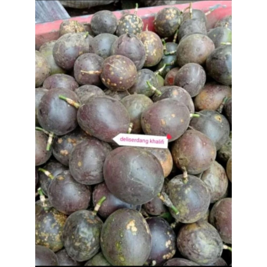 

Markisa Medan markisa jus markisa sirup