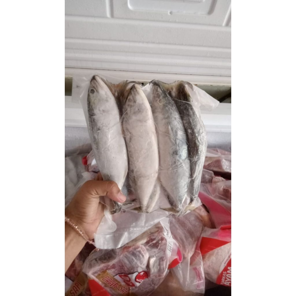 

ikan kembung/seafood/ikan Frozen