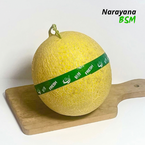 

Buah Melon Inthanon Segar Per Buah