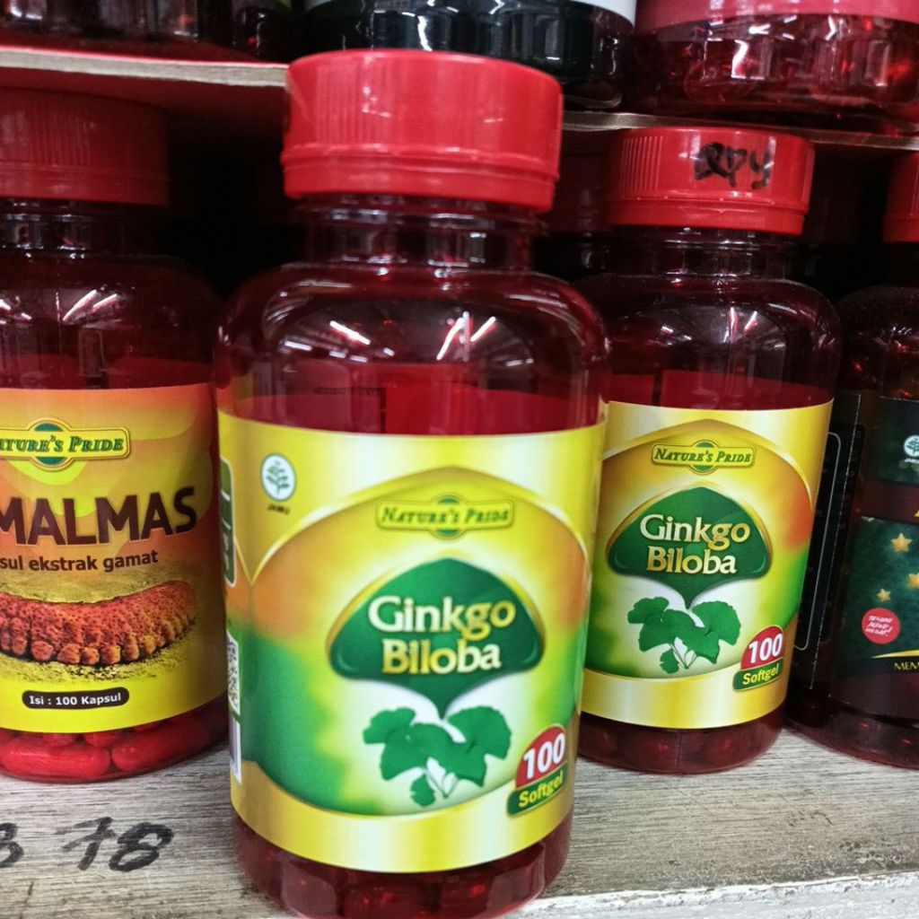 Nature's pride ginkgo biloba isi 100