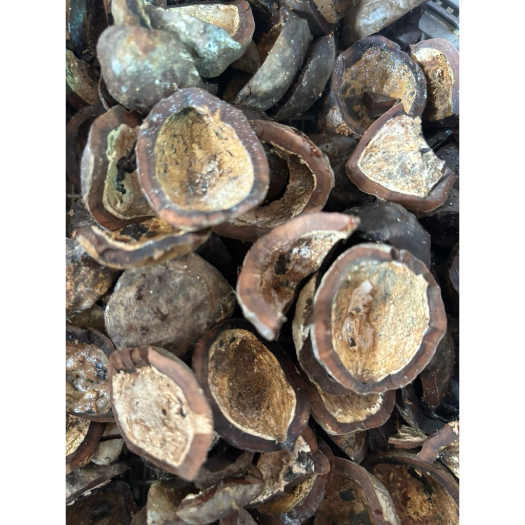 

Cangkang Kemiri - cangkang kemiri 1kg