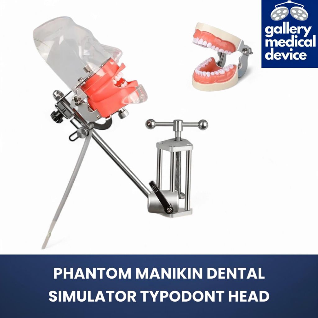 PHANTOM MANIKIN DENTAL SIMULATOR TYPODONT HEAD/MODEL TYPODONT KEPALA