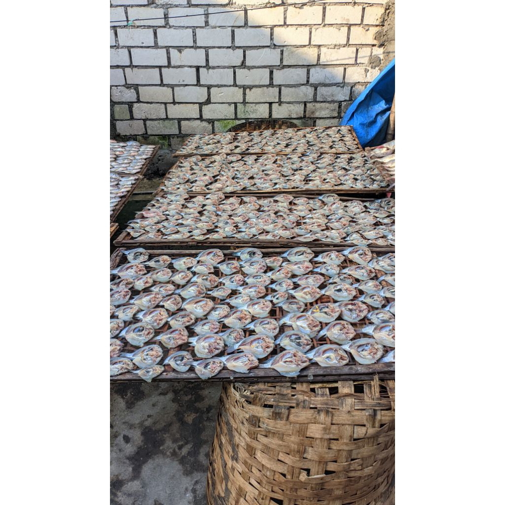 

ikan asin mujair, ikan asin,