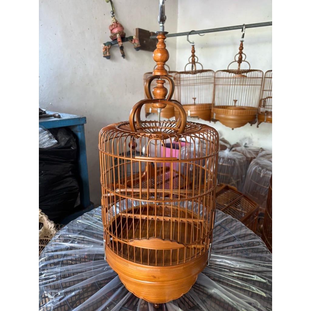 SANGKAR BURCIL / BURUNG KECIL CUNGKOK