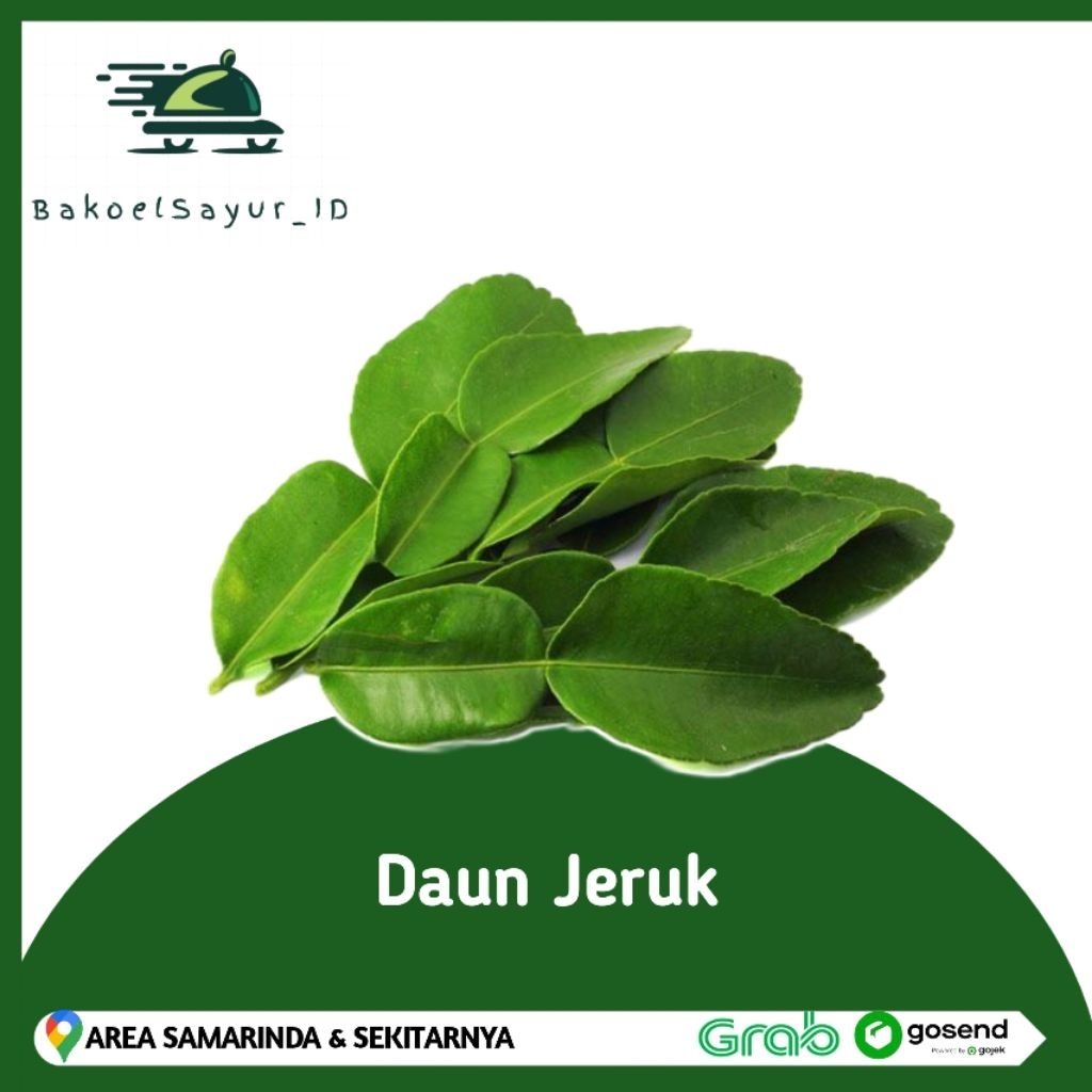 

Daun Jeruk 1 Bungkus