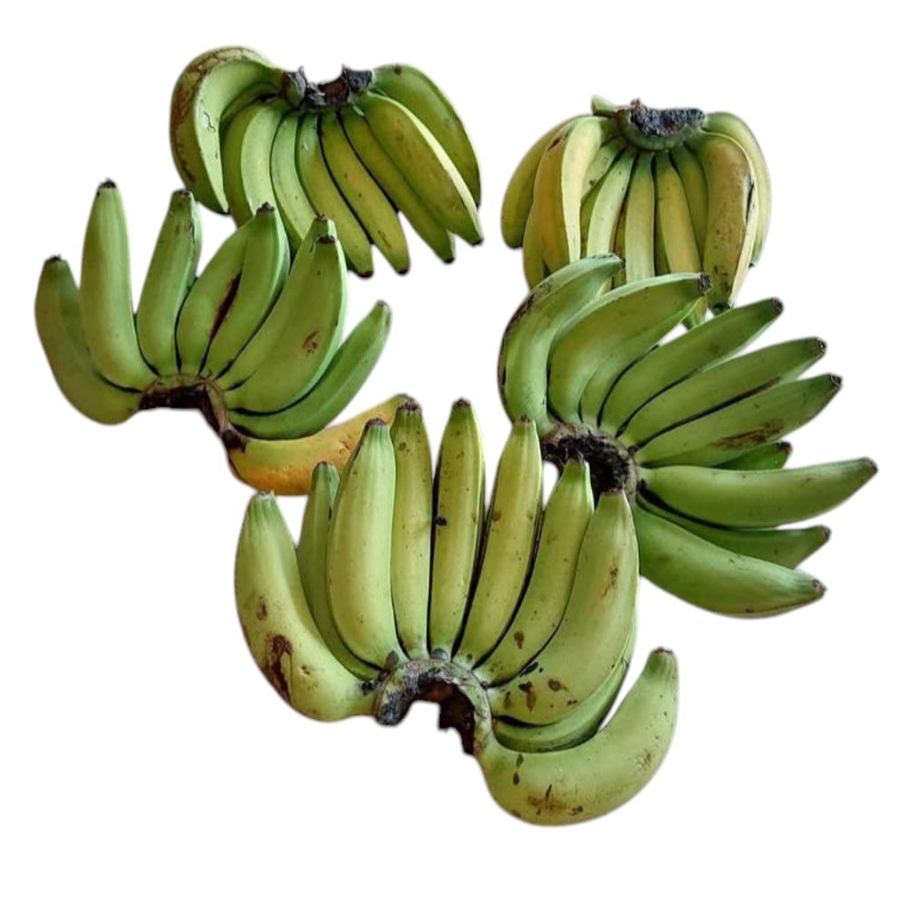 

buah pisang Ambon 1sisir