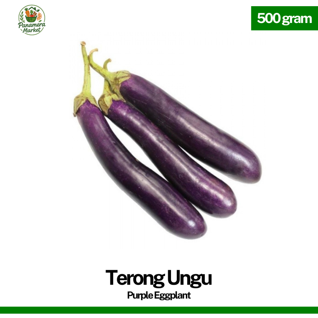 

Terong Ungu Segar