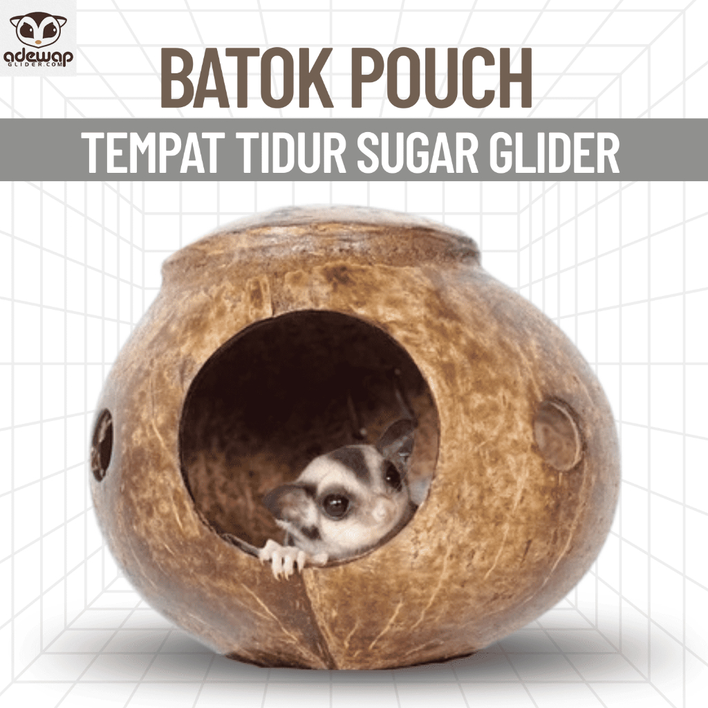 ADEWAP GLIDER Sleeping Pouch Batok Kelapa Tampat Tidur Sugar Glider