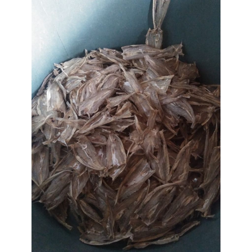 

GEREH gurih baby ikan bloso 1 kg