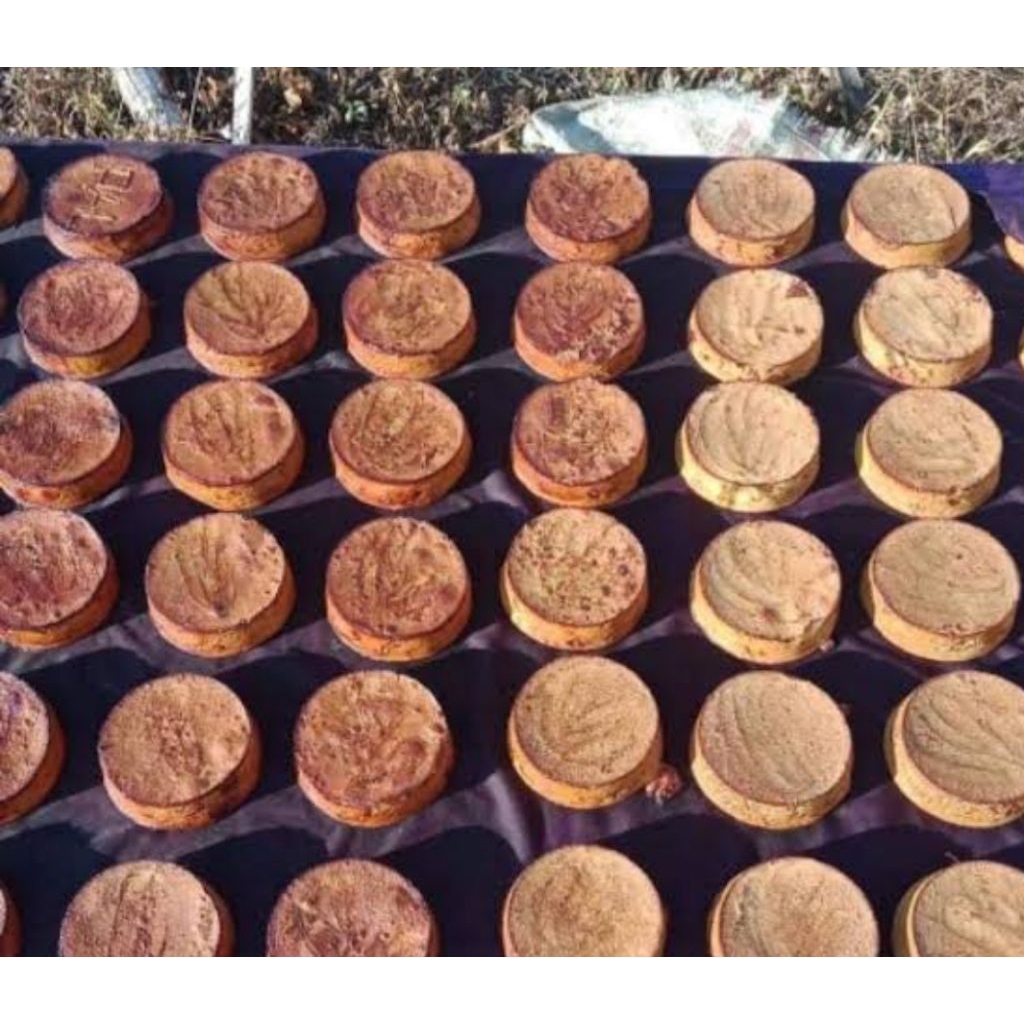 

extract Gambir organik