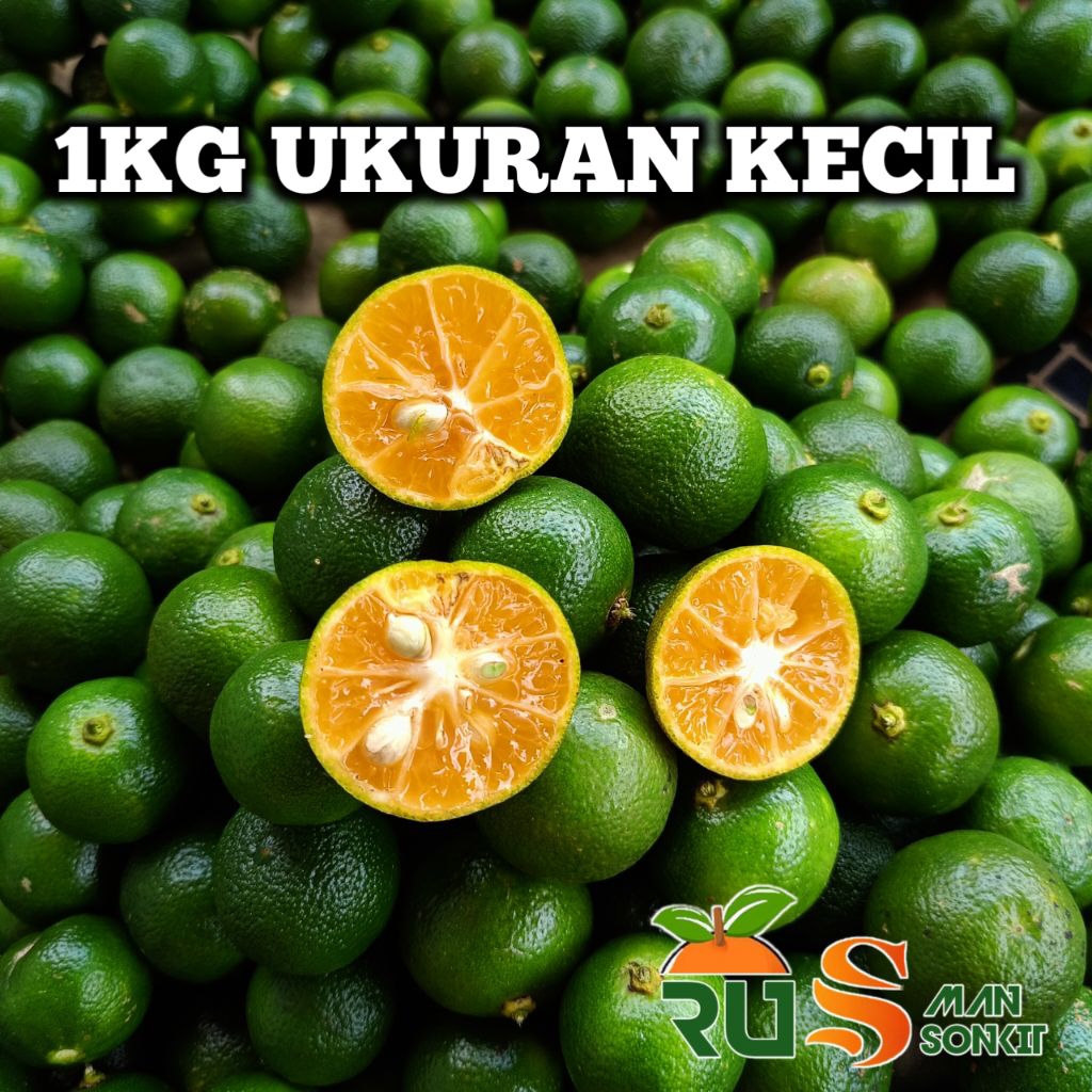 

1KG JERUK PERAS JERUK SONKIT JERUK LEMONCUI JERUK KASTURI