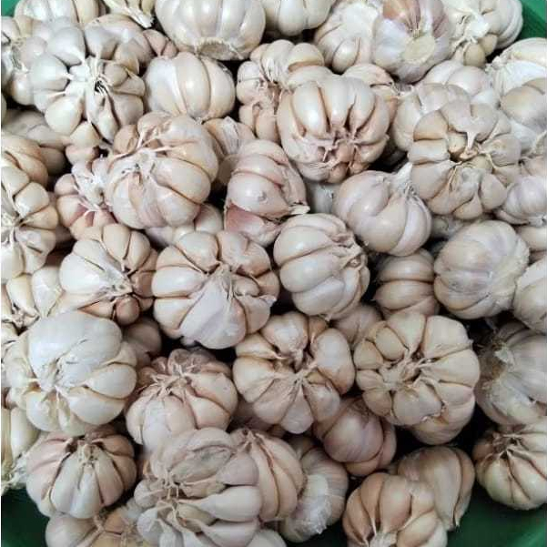 

Bawang putih utuh per 1kg