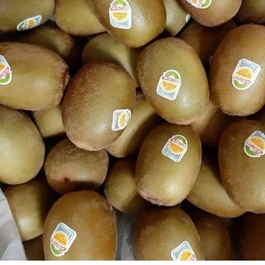 

Kiwi SUNGOLD ZESPRI SEGAR MANIS Jumbo