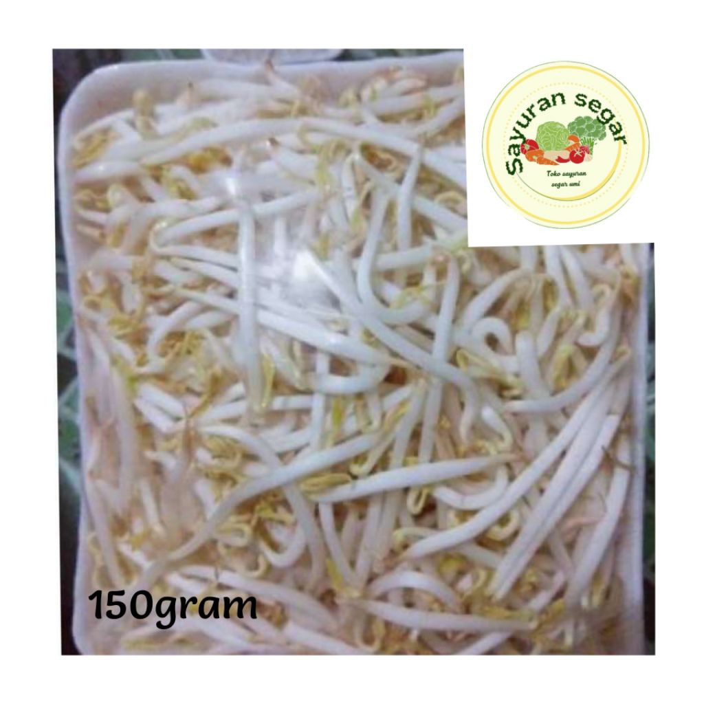 

sayur toge segar 150gram