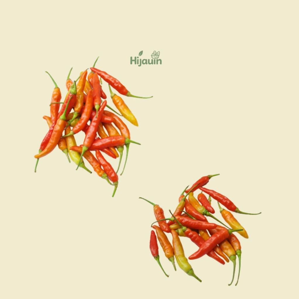 

Cabe Rawit/Cabe Rawit Merah/Cabe Rawit Segar