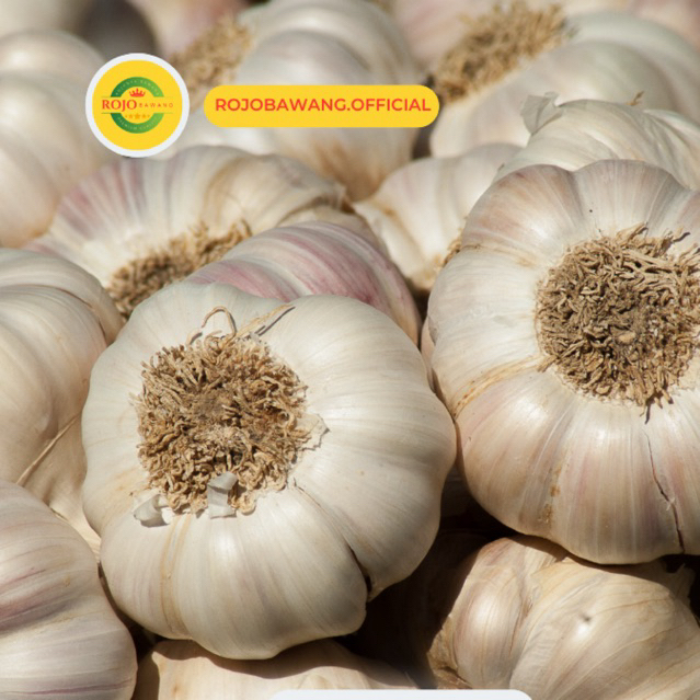 

BAWANG PUTIH SINCOPROMO MURAH MERIAH 1/2 kg atau 500 gram