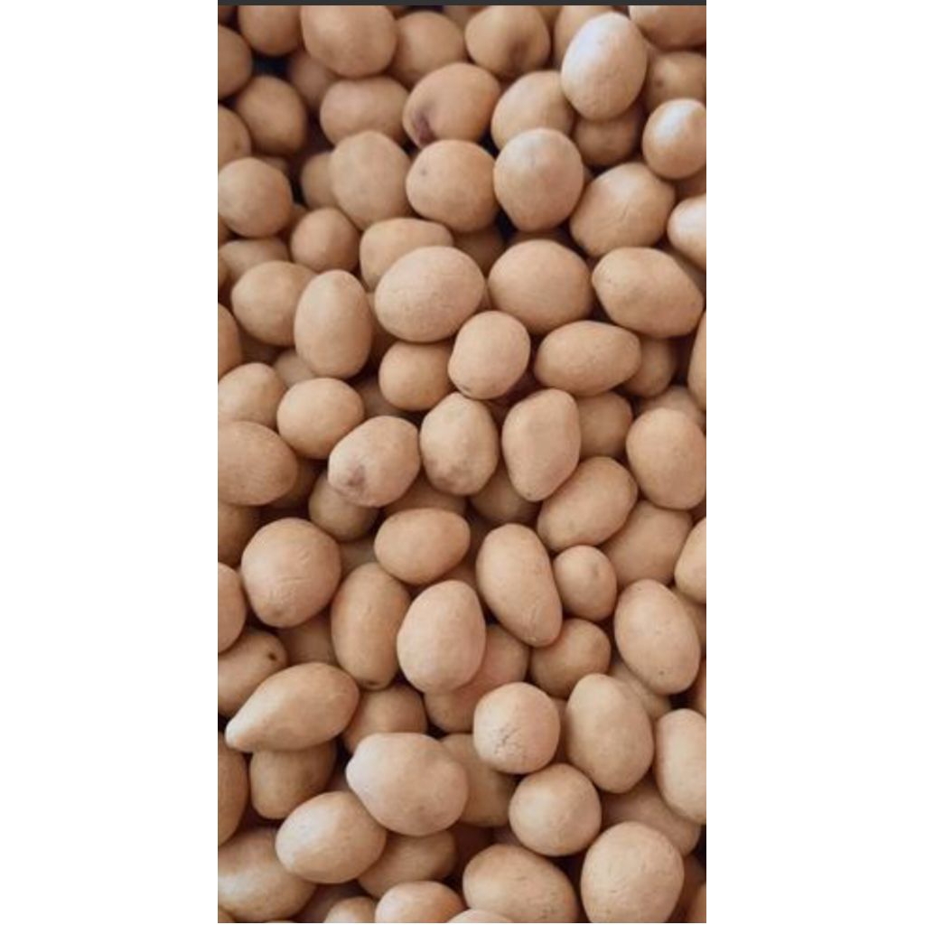 

kacang atom gurih telor 500 gram