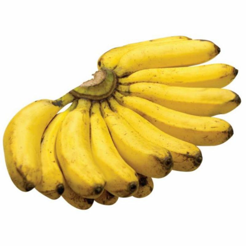 

PISANG SUSU FRESH 1 SISIR