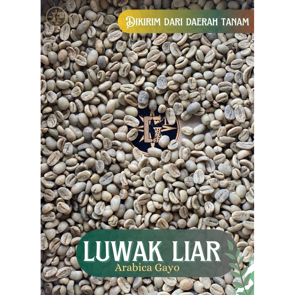 

KOPI GAYO ARABICA LUWAK LIAR KOPI ARABIKA ACEH GAYO GREEN BEANS 1 kg