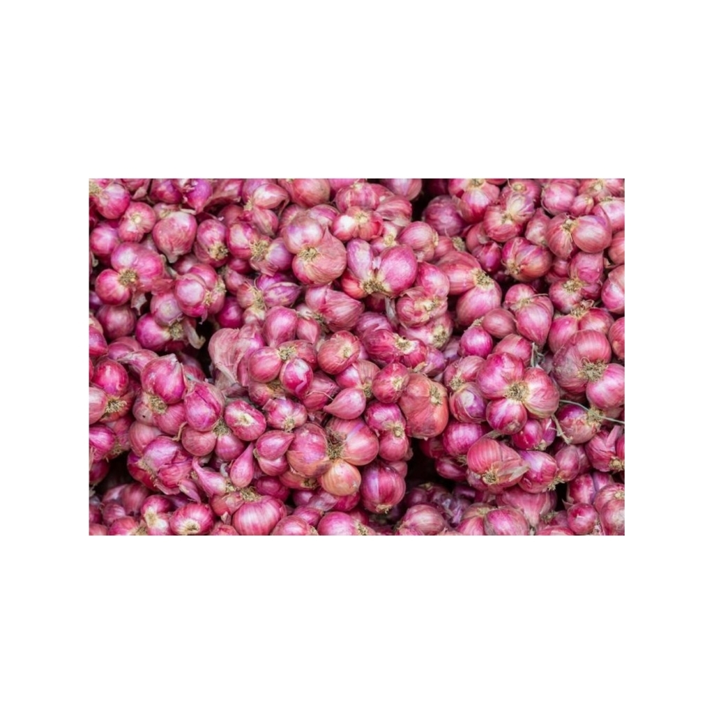

bawangmerah(100gram)/bangputih/bawangbombay/murah