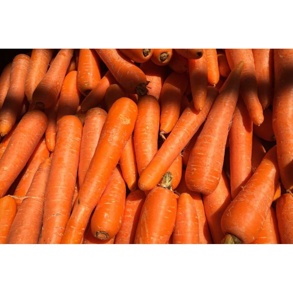 

Wortel Segar Ukuran 250g/500g/1Kg